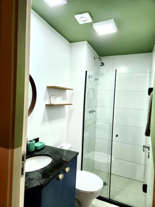 Apartamento Estudio Pinheiros Perto Do Metro São Paulo